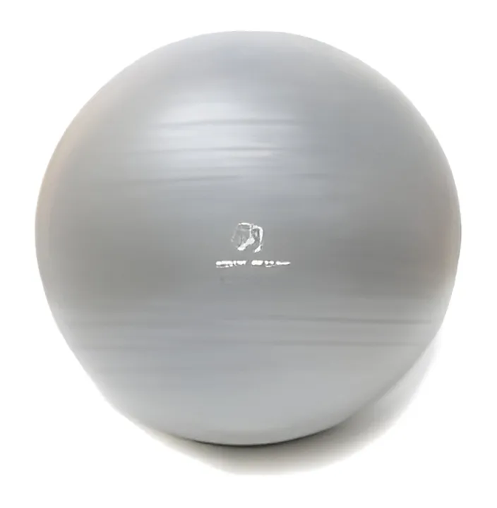 Physio Ball, physiotherapy & rehab equipment