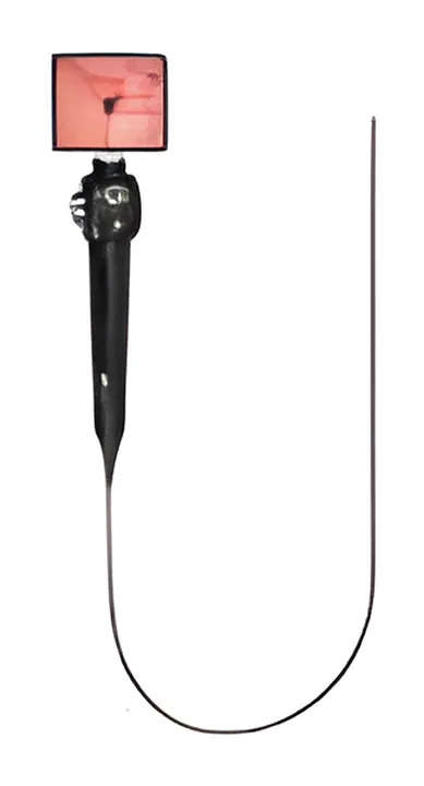 Flexible Endoscope, ENT equipment
